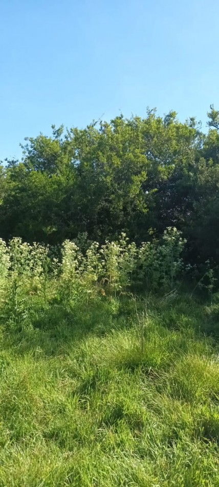 Chacra en venta en Laguna del Rosario a minutos de Pinamar