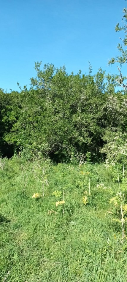 Chacra en venta en Laguna del Rosario a minutos de Pinamar