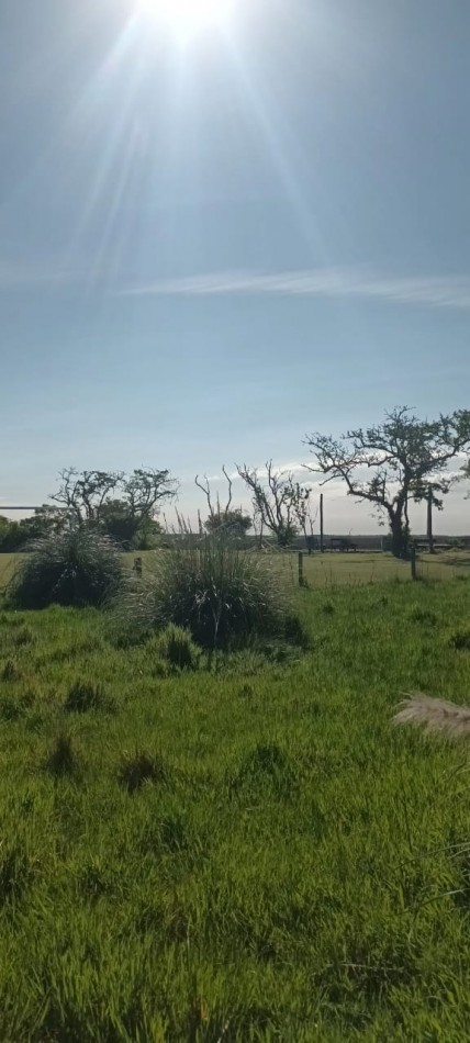 Chacra en venta en Laguna del Rosario a minutos de Pinamar