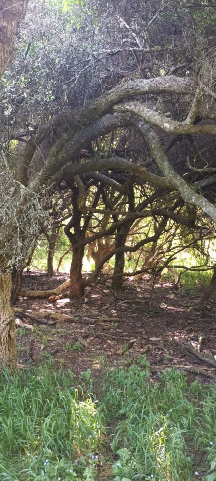 Chacra en venta en Laguna del Rosario a minutos de Pinamar