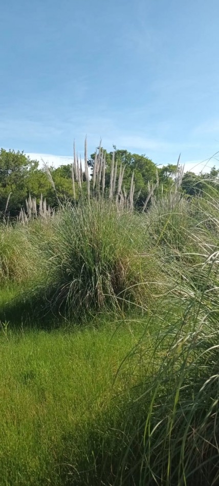 Chacra en venta en Laguna del Rosario a minutos de Pinamar