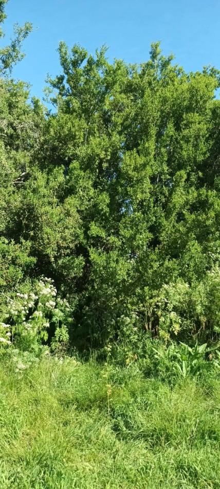 Chacra en venta en Laguna del Rosario a minutos de Pinamar